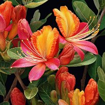 Botanical art 1  Botanical painting, vibrant colors --ar 2:3 --v 7 Job ID: a3b8a17f-f7fd-489d-bd9c-6fa26a0792da