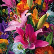 Botanical art 2  Botanical painting, vibrant colors --ar 2:3 --v 7 Job ID: a3b8a17f-f7fd-489d-bd9c-6fa26a0792da