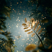 quietlight Radiant Tree of life blooming rainforest nighttime 47774d04-8418-447e-b3ea-c73c1b2231da 1