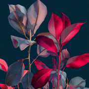 u1127339427 Botanical art graphic design elegant vibe vibrant 407141a3-0971-441e-82e4-2b15fb2fd728 3