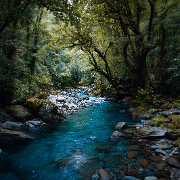 u1127339427 wild blue forest river digital photography shot on  010108f7-7d3d-44d4-83f2-00117e4f9d2f